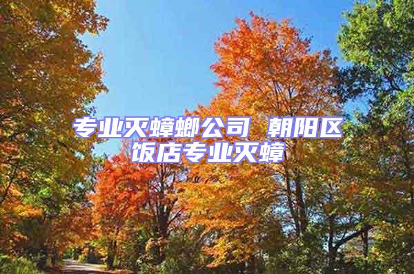 專業滅蟑螂公司 朝陽區飯店專業滅蟑
