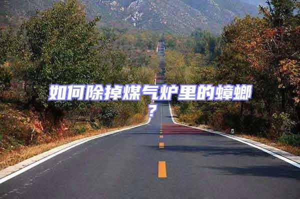 如何除掉煤氣爐里的蟑螂？
