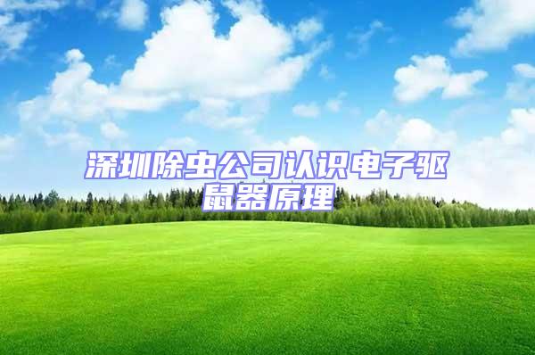 深圳除蟲公司認識電子驅鼠器原理
