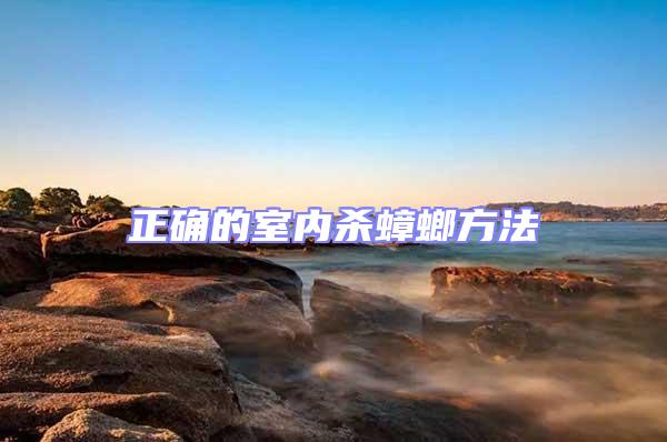 正確的室內殺蟑螂方法