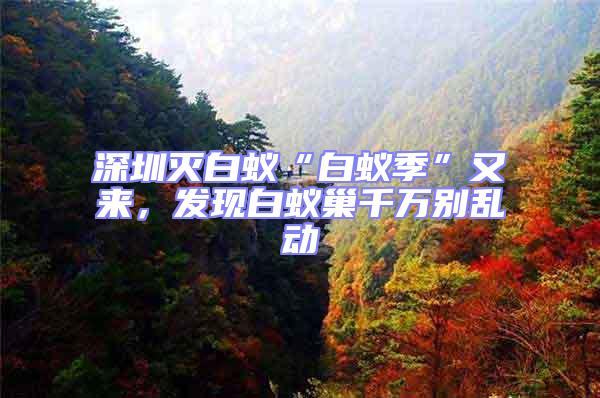 深圳滅白蟻“白蟻季”又來(lái)，發(fā)現(xiàn)白蟻巢千萬(wàn)別亂動(dòng)