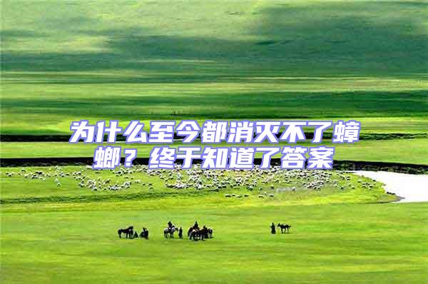 為什么至今都消滅不了蟑螂？終于知道了答案