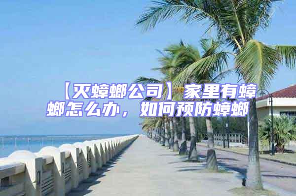【滅蟑螂公司】家里有蟑螂怎么辦，如何預防蟑螂