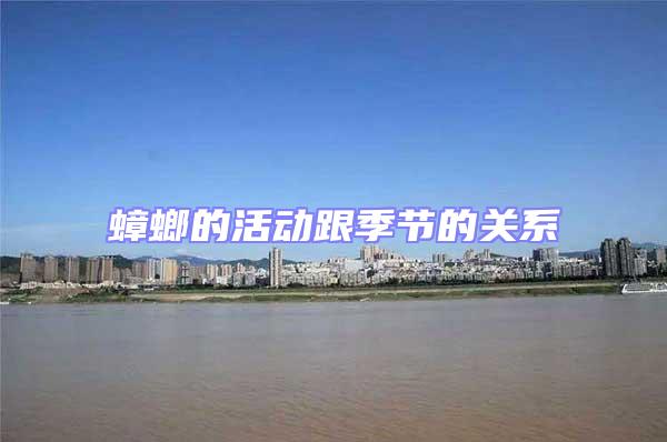 蟑螂的活動跟季節(jié)的關(guān)系
