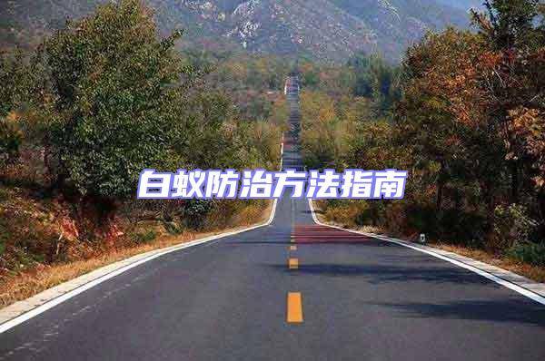 白蟻防治方法指南