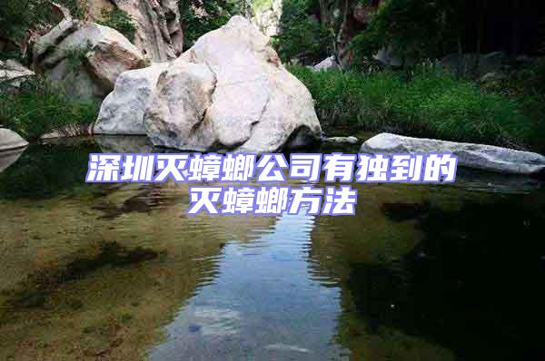 深圳滅蟑螂公司有獨(dú)到的滅蟑螂方法