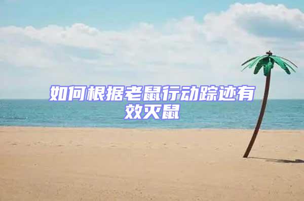 如何根據老鼠行動蹤跡有效滅鼠
