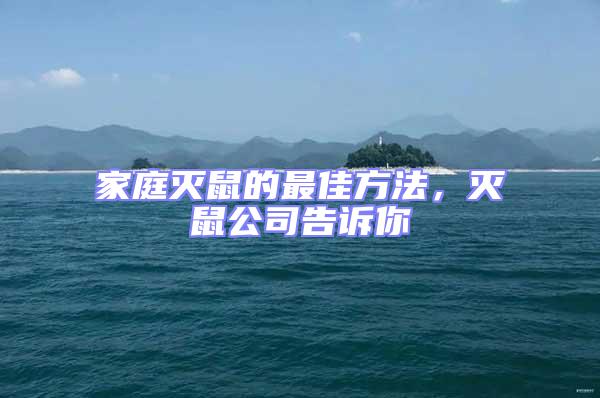 家庭滅鼠的最佳方法，滅鼠公司告訴你