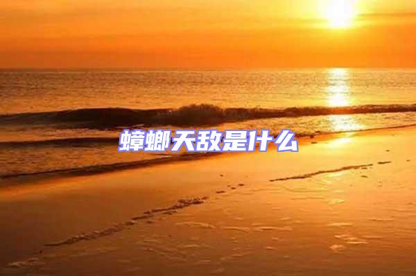 蟑螂天敵是什么