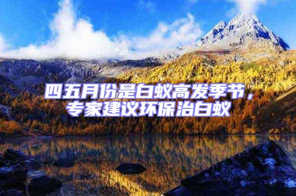 四五月份是白蟻高發(fā)季節(jié)，專(zhuān)家建議環(huán)保治白蟻