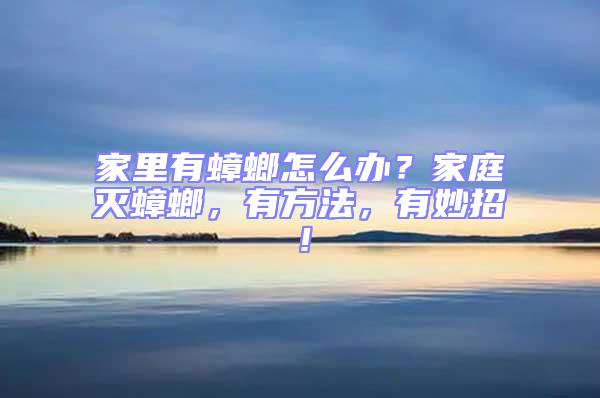 家里有蟑螂怎么辦？家庭滅蟑螂，有方法，有妙招！