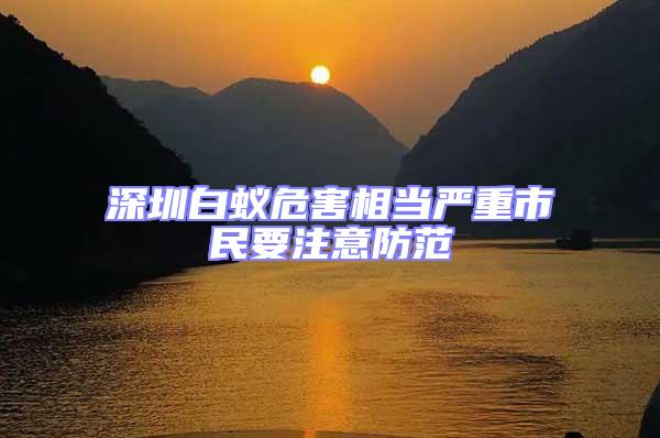 深圳白蟻危害相當嚴重市民要注意防范