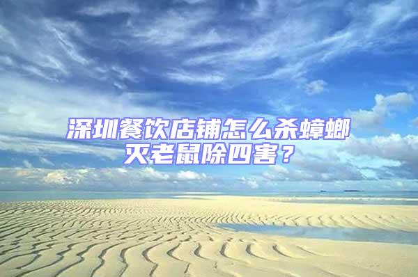 深圳餐飲店鋪怎么殺蟑螂滅老鼠除四害？