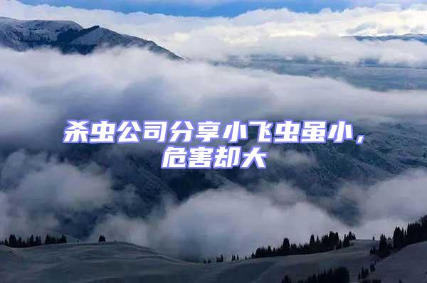 殺蟲公司分享小飛蟲雖小，危害卻大