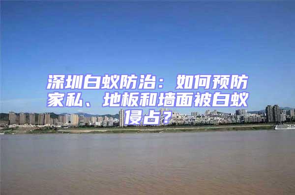 深圳白蟻防治：如何預防家私、地板和墻面被白蟻侵占？