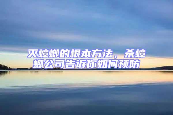 滅蟑螂的根本方法，殺蟑螂公司告訴你如何預(yù)防