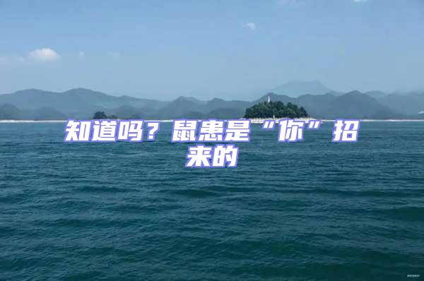知道嗎？鼠患是“你”招來的