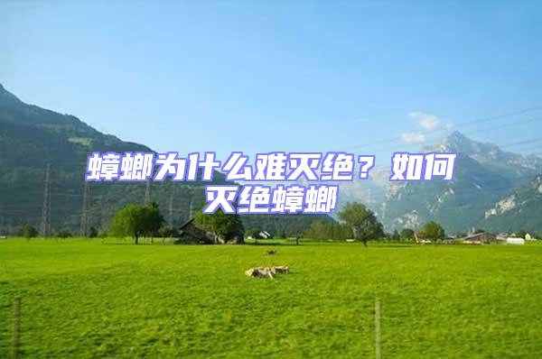 蟑螂為什么難滅絕？如何滅絕蟑螂