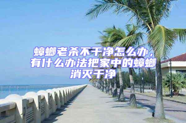 蟑螂老殺不干凈怎么辦，有什么辦法把家中的蟑螂消滅干凈