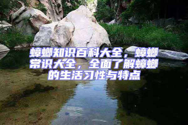 蟑螂知識百科大全，蟑螂常識大全，全面了解蟑螂的生活習性與特點