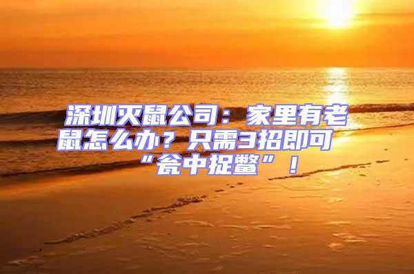 深圳滅鼠公司：家里有老鼠怎么辦？只需3招即可“甕中捉鱉”！