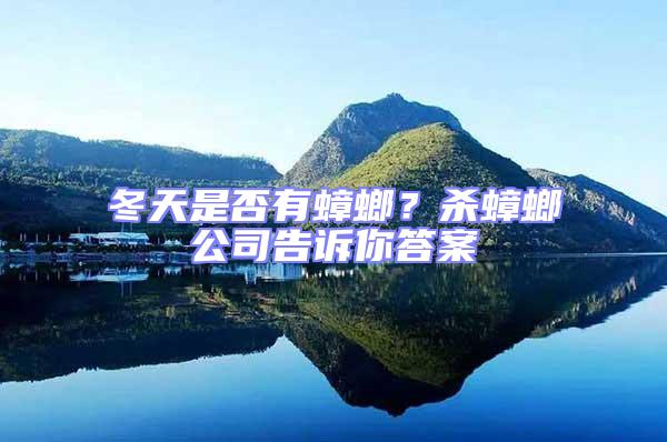 冬天是否有蟑螂？殺蟑螂公司告訴你答案