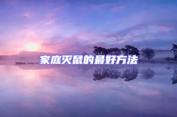 家庭滅鼠的最好方法