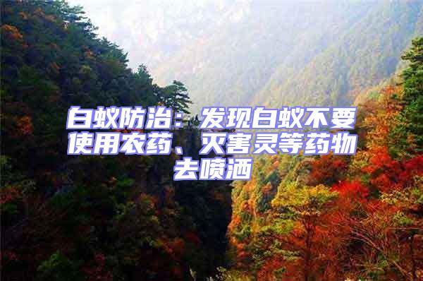 白蟻防治：發現白蟻不要使用農藥、滅害靈等藥物去噴灑