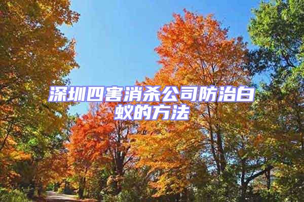 深圳四害消殺公司防治白蟻的方法