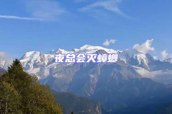 夜總會(huì)滅蟑螂