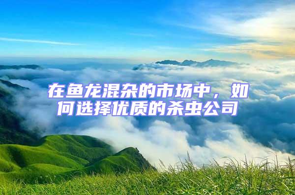 在魚龍混雜的市場中，如何選擇優(yōu)質(zhì)的殺蟲公司