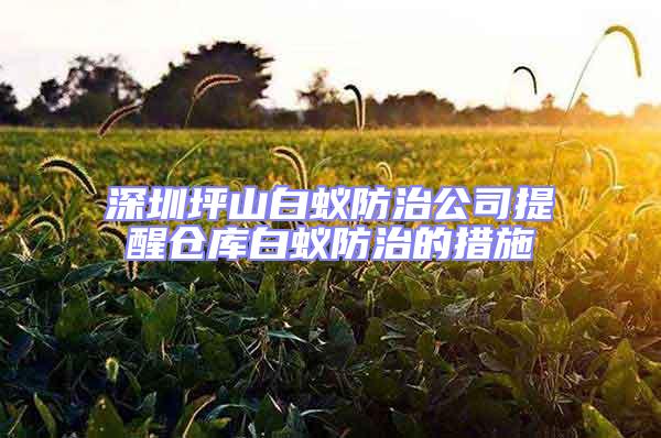 深圳坪山白蟻防治公司提醒倉庫白蟻防治的措施