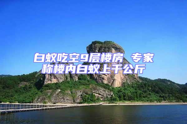 白蟻吃空9層樓房 專家稱樓內白蟻上千公斤