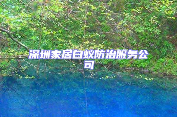 深圳家居白蟻防治服務公司