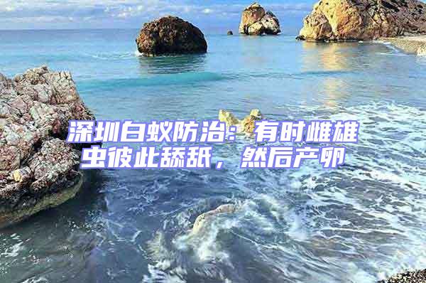 深圳白蟻防治：有時雌雄蟲彼此舔舐，然后產卵
