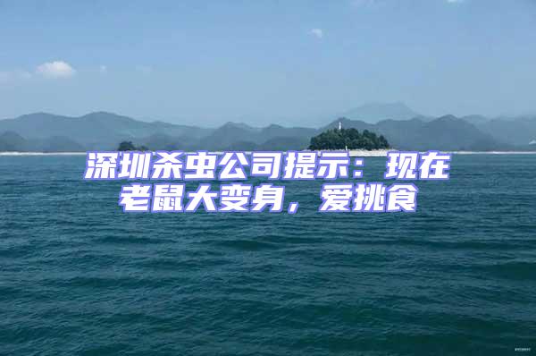 深圳殺蟲公司提示：現在老鼠大變身，愛挑食