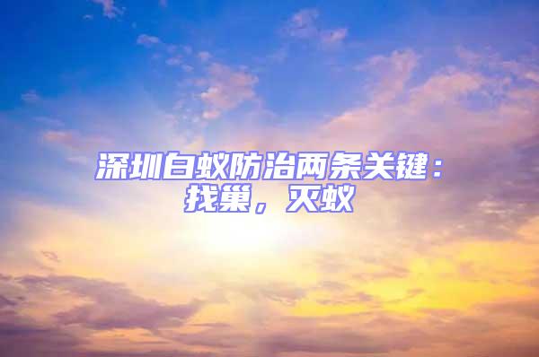 深圳白蟻防治兩條關(guān)鍵：找巢，滅蟻