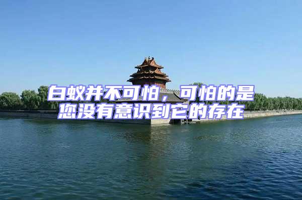 白蟻并不可怕，可怕的是您沒有意識到它的存在