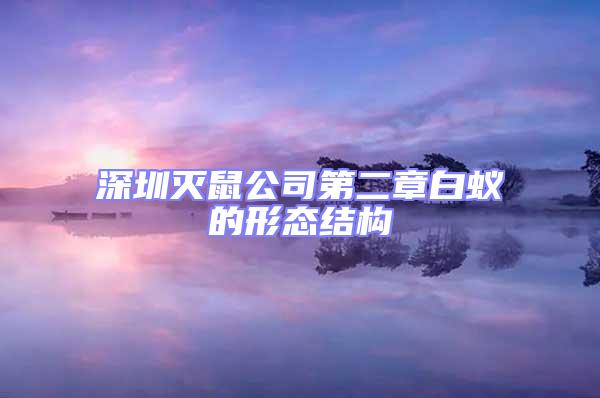 深圳滅鼠公司第二章白蟻的形態(tài)結構