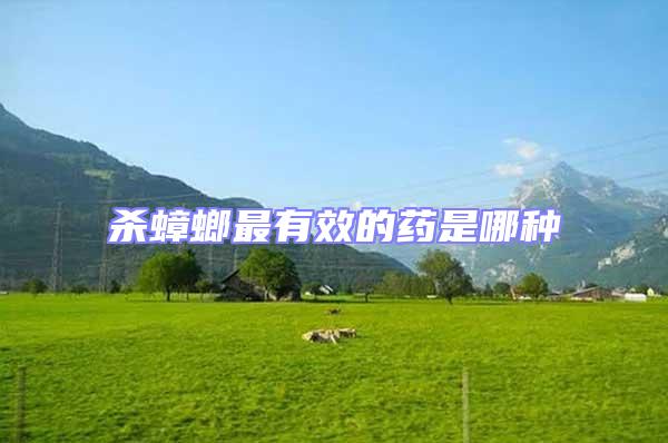殺蟑螂最有效的藥是哪種