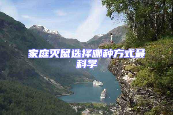 家庭滅鼠選擇哪種方式最科學