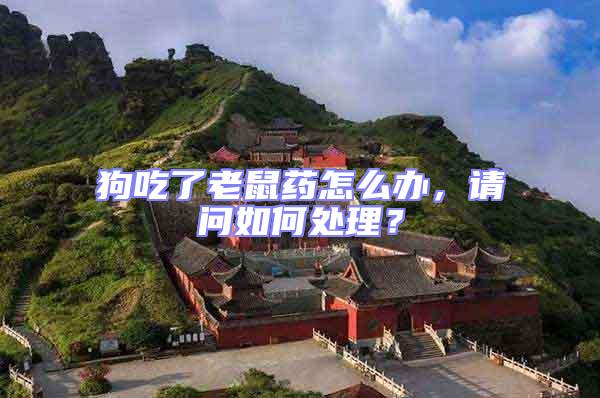 狗吃了老鼠藥怎么辦，請(qǐng)問如何處理？