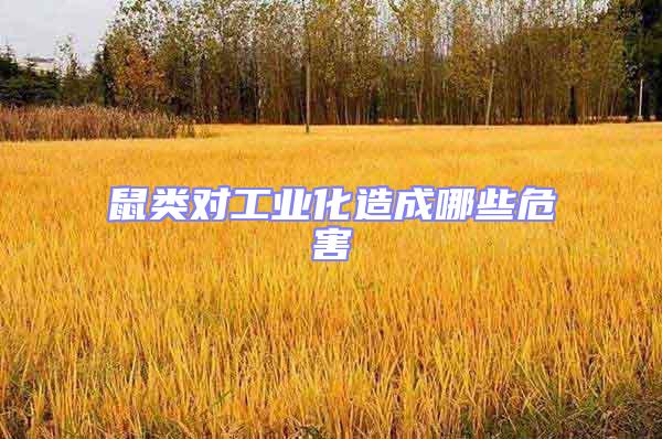 鼠類對工業化造成哪些危害