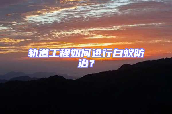 軌道工程如何進行白蟻防治？