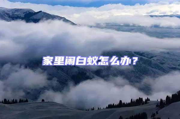 家里鬧白蟻怎么辦？