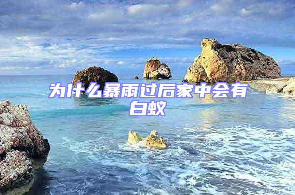 為什么暴雨過后家中會有白蟻