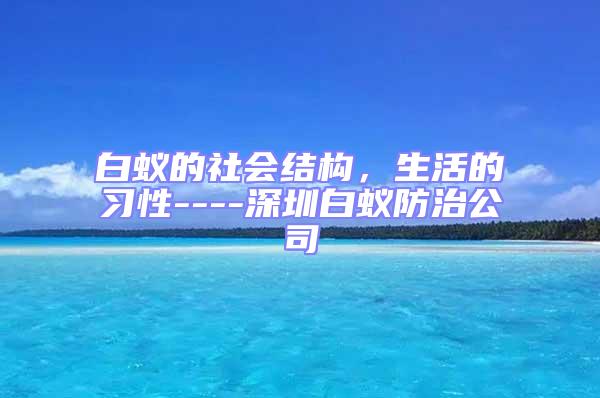 白蟻的社會結(jié)構(gòu)，生活的習(xí)性----深圳白蟻防治公司
