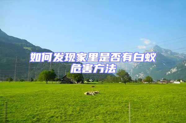 如何發現家里是否有白蟻危害方法