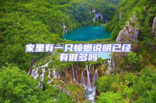 家里有一只蟑螂說明已經(jīng)有很多嗎