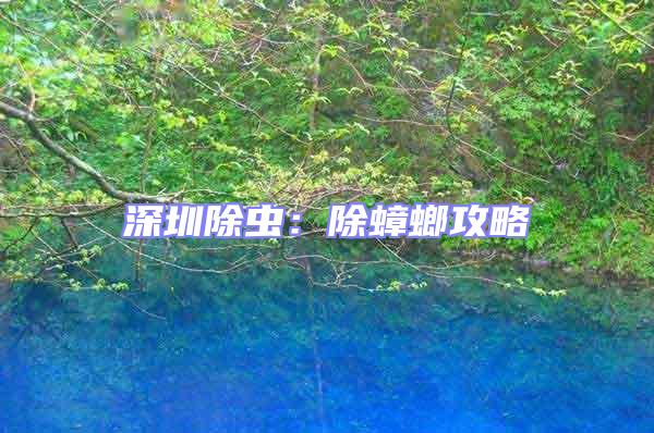 深圳除蟲：除蟑螂攻略